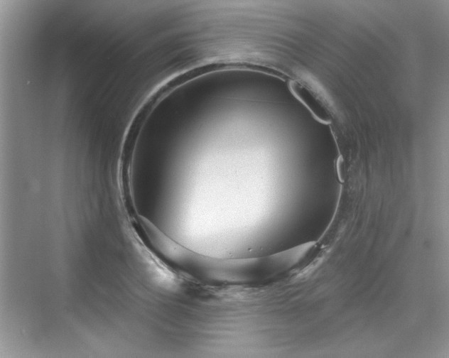 X0000076320932200609291050