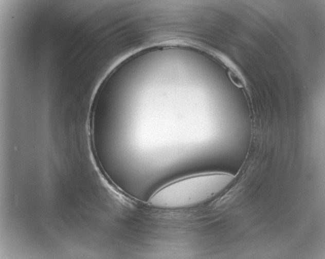 X0000076320951200609291051