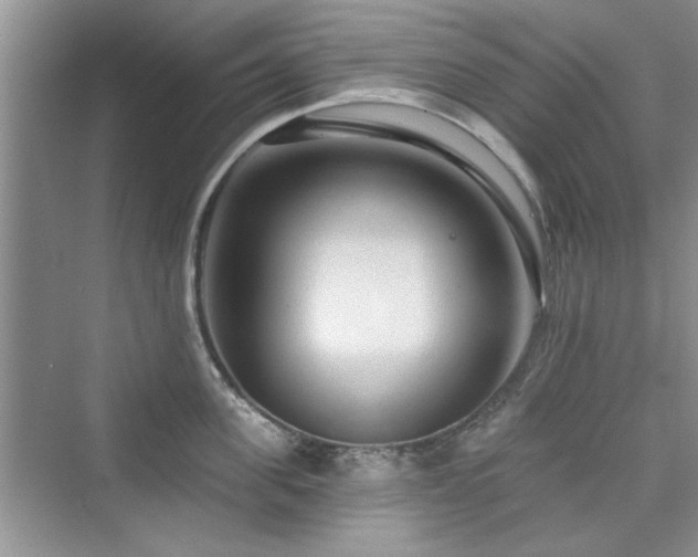 X0000076320955200609291051