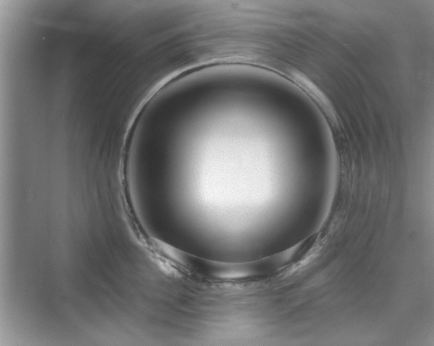 X0000076320956200609291051