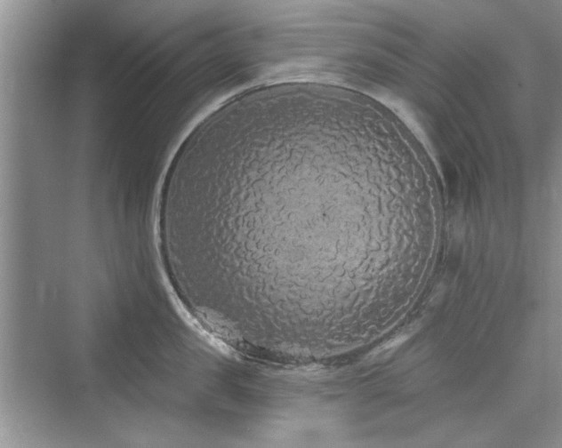 X0000076320957200609291051