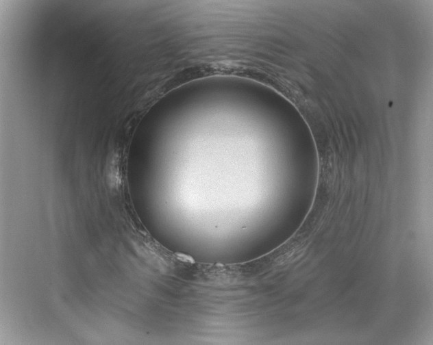 X0000076320962200609291050