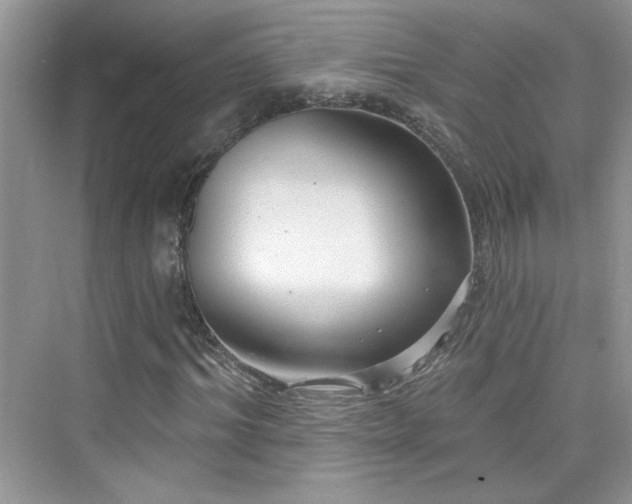 X0000076320964200609291050