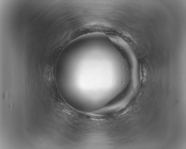 X0000076320965200609291050