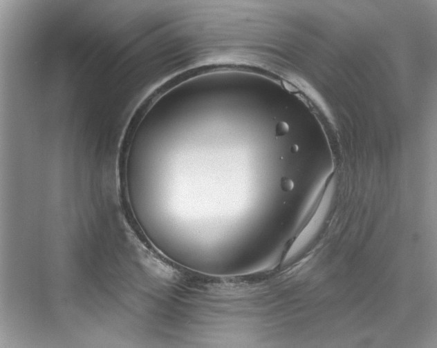 X0000076320980200609291050