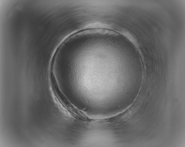 X0000076321008200609291049