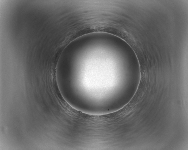 X0000076321012200609291048