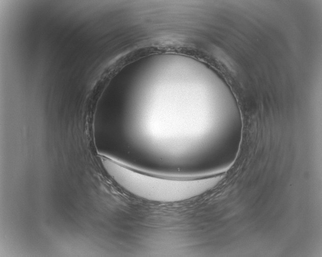 X0000076321016200609291048