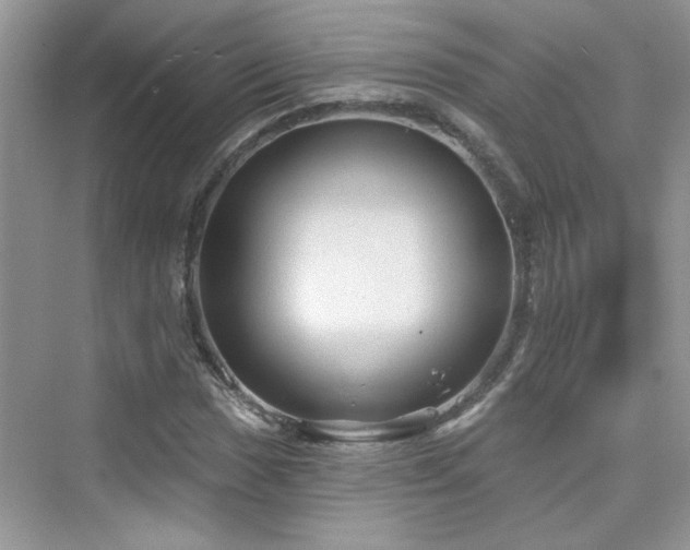 X0000076321017200609291048