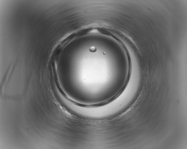 X0000076321018200609291048