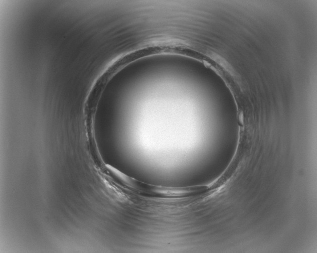 X0000076321022200609291049