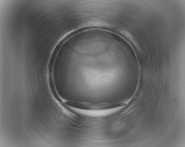X0000076321024200609291049