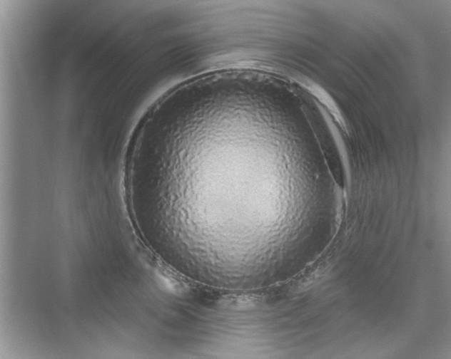 X0000076321051200609291049