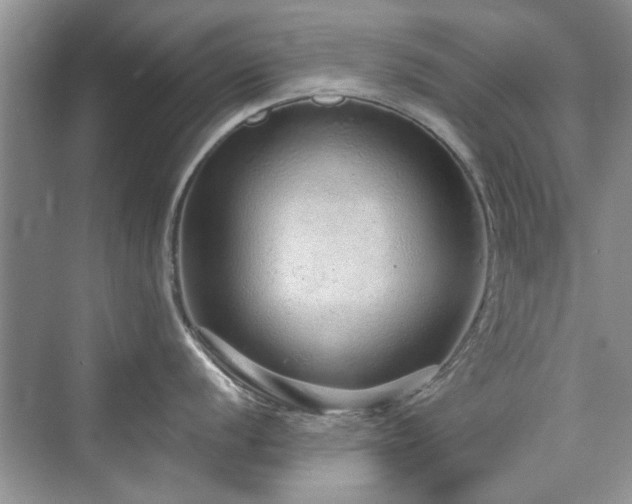 X0000076321056200609291049