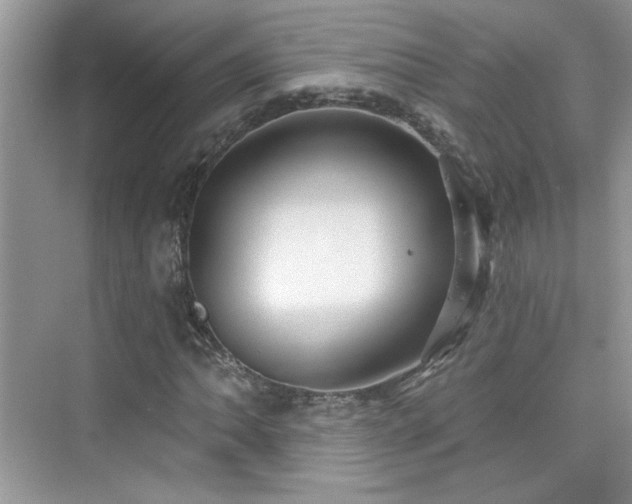 X0000076321062200609291048