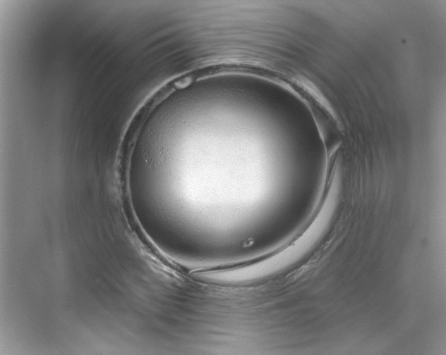 X0000076321068200609291048