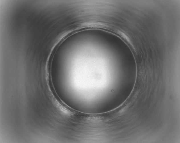 X0000076321082200609291048