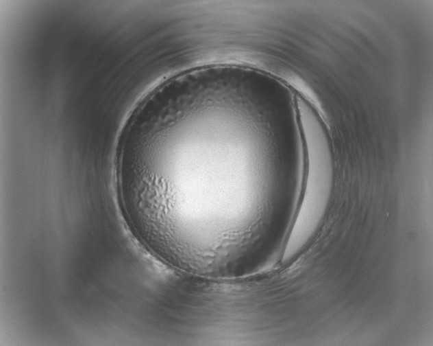 X0000076321088200609291048