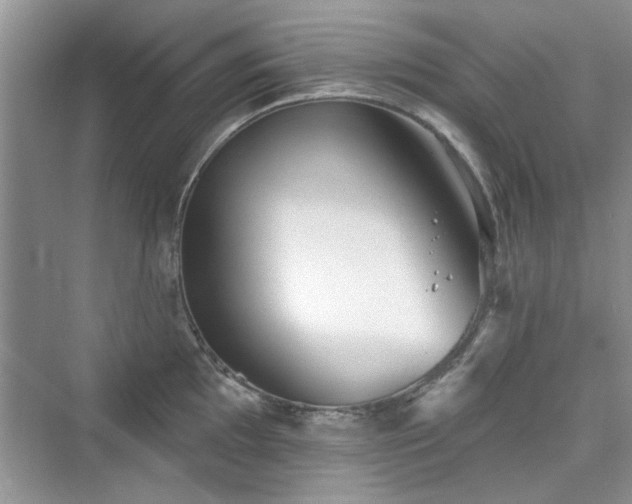 X0000076321097200609291048