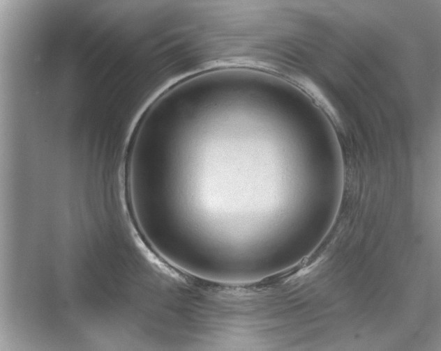 X0000076321100200609291048