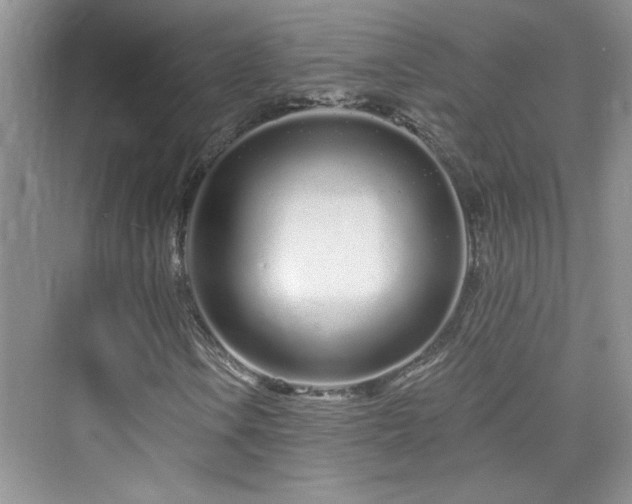 X0000076321106200609291047