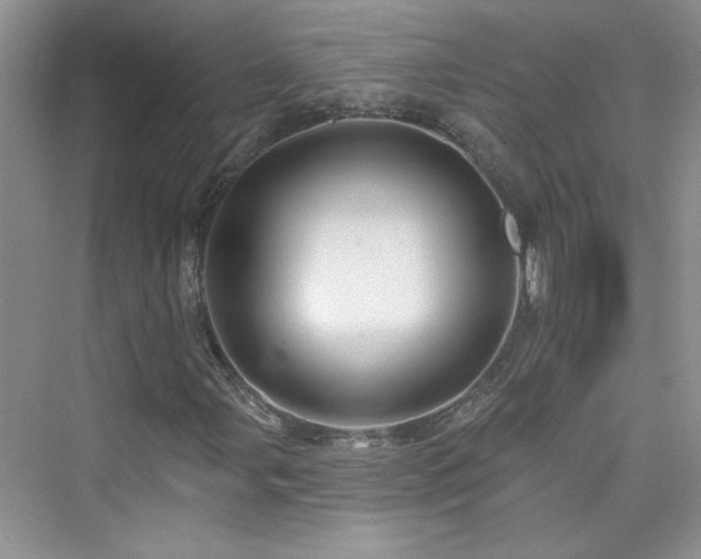 X0000076321107200609291047