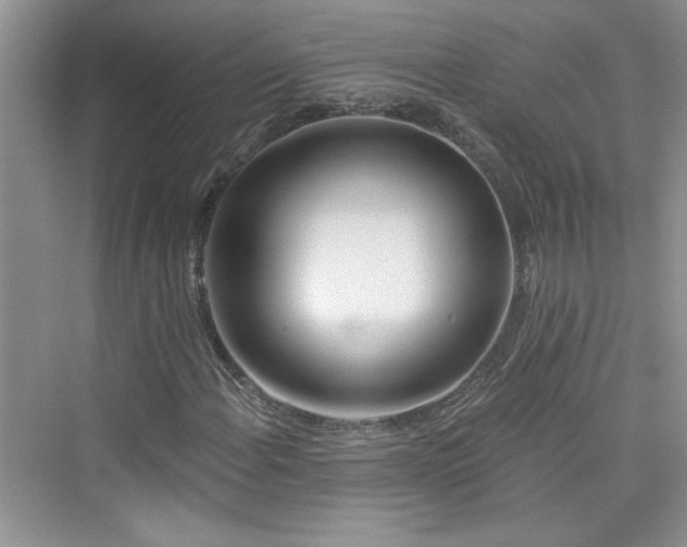 X0000076321108200609291047