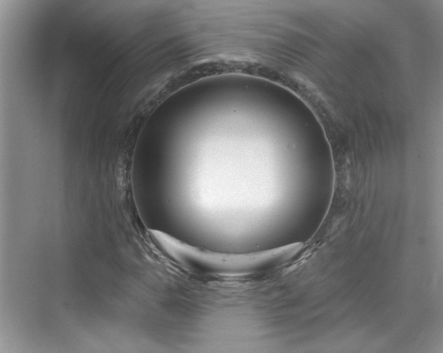 X0000076321110200609291047