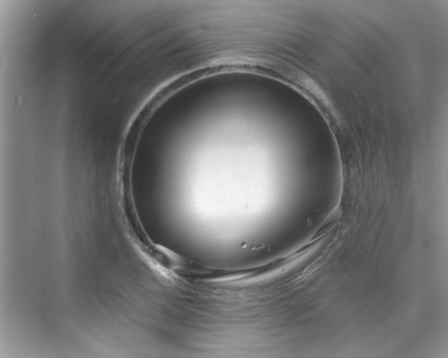 X0000076321124200609291047