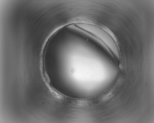 X0000076321144200609291047