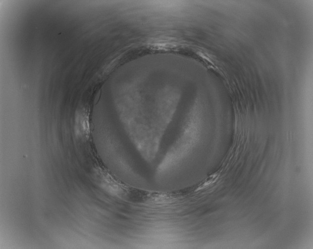 X0000076321155200609291047