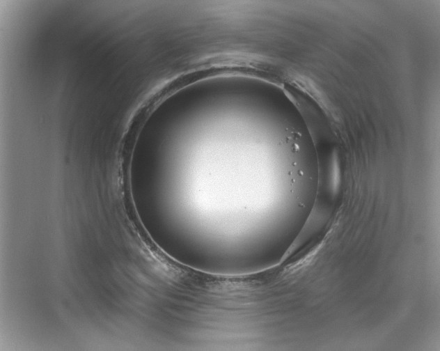 X0000076321164200609291046