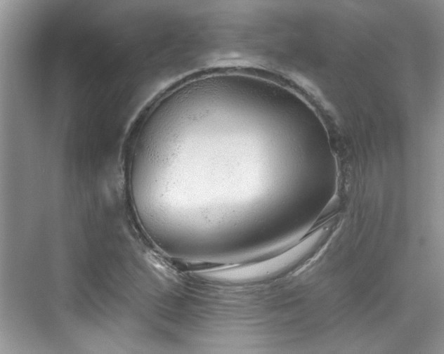 X0000076321167200609291046