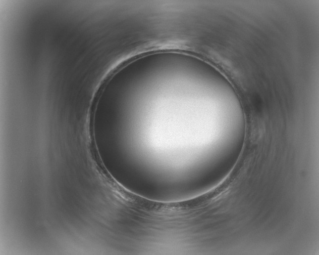 X0000076321174200609291046