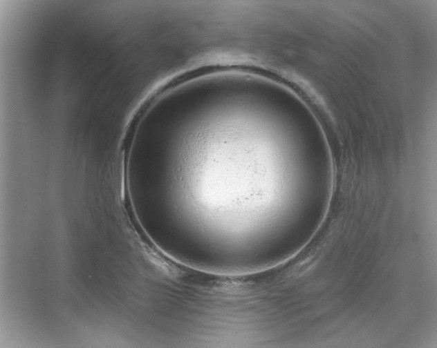 X0000076321175200609291046