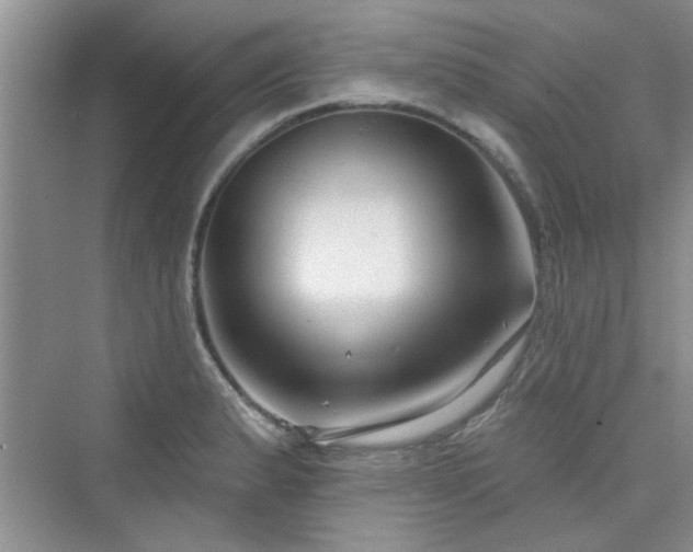 X0000076321183200609291046