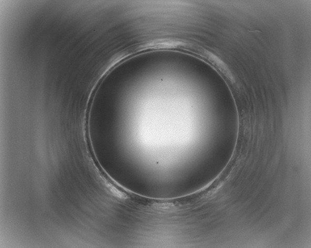 X0000076321186200609291046