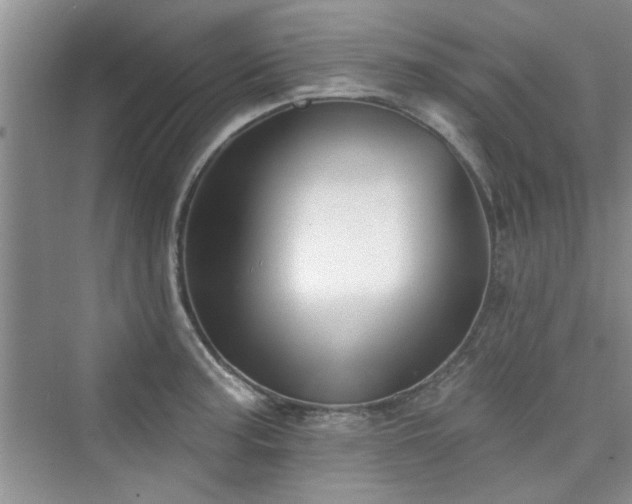 X0000076321187200609291046