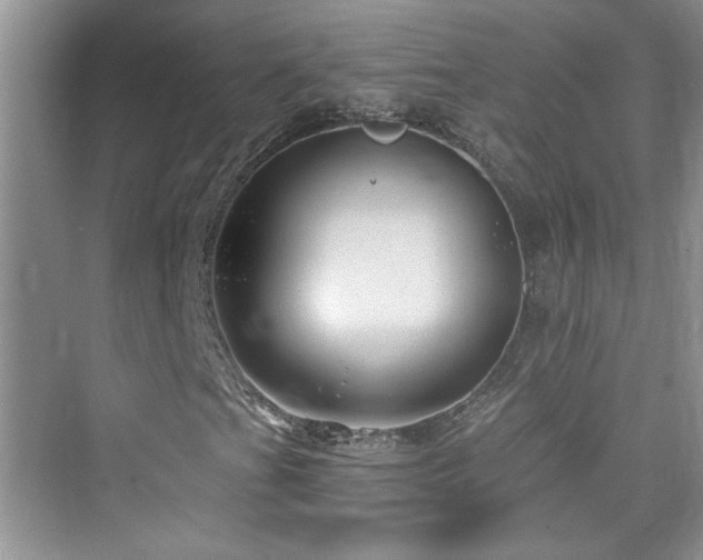 X0000076321201200609291045