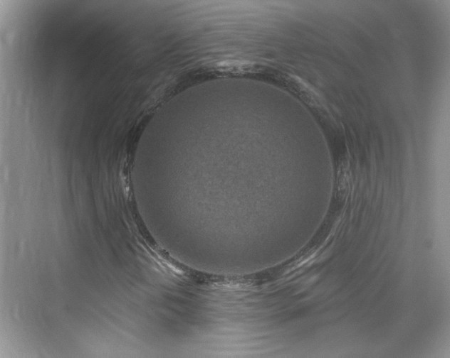 X0000076321202200609291045
