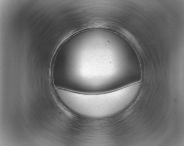 X0000076321234200609291046