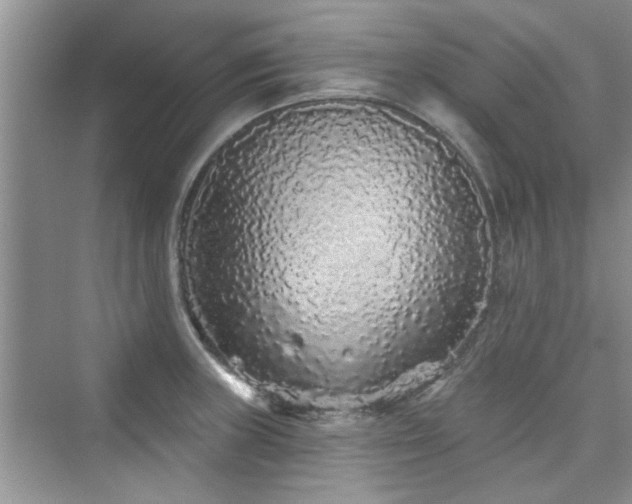 X0000076321235200609291046