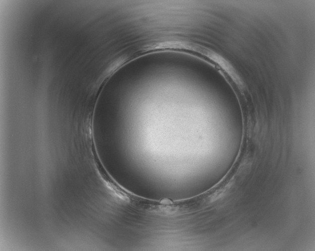 X0000076321241200609291046