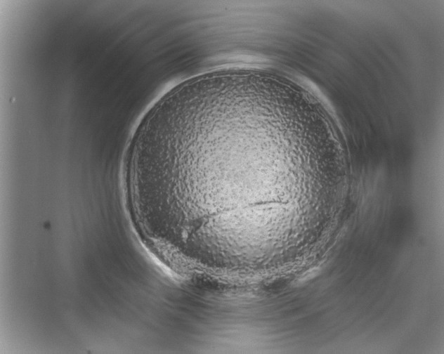 X0000076321243200609291046