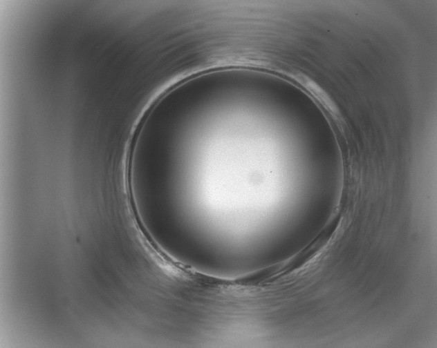 X0000076321246200609291046