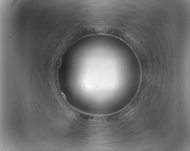 X0000076321249200609291045