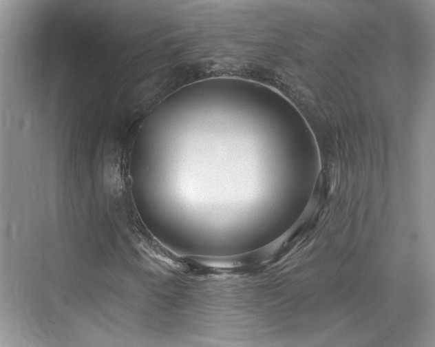 X0000076321250200609291045