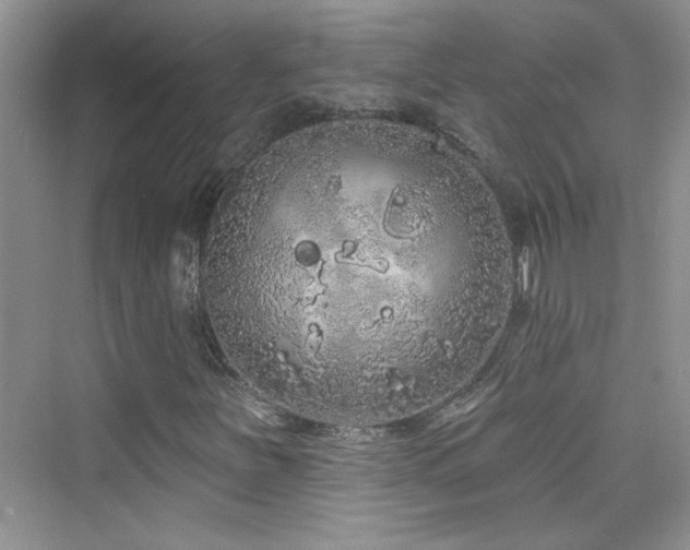 X0000076321251200609291045