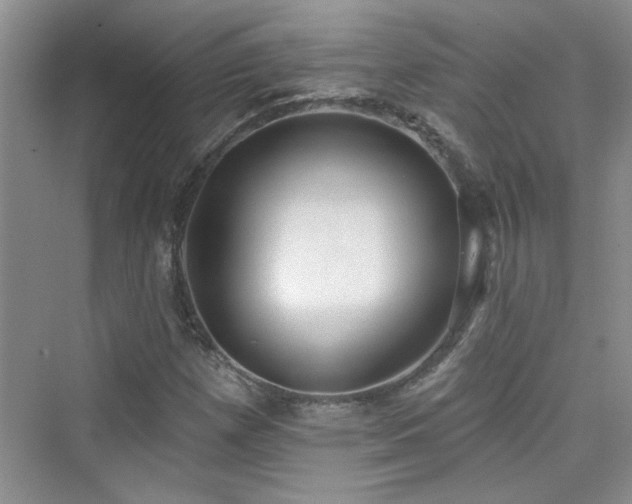 X0000076321257200609291045