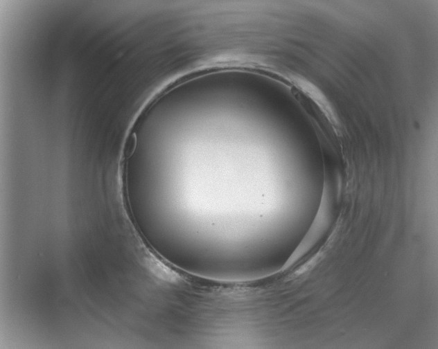 X0000076321288200609291044